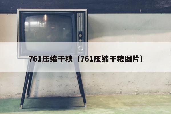 761压缩干粮（761压缩干粮图片） 第1张