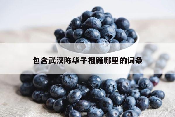 包含武汉陈华子祖籍哪里的词条 第1张