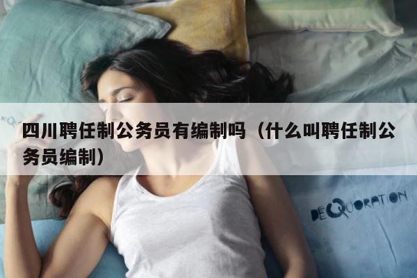 四川聘任制公务员有编制吗（什么叫聘任制公务员编制） 第1张