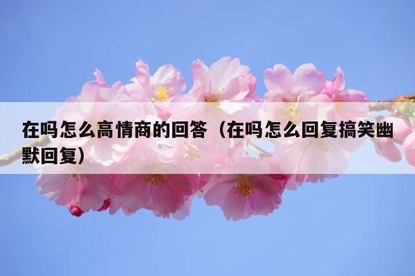 在吗怎么高情商的回答（在吗怎么回复搞笑幽默回复） 第1张