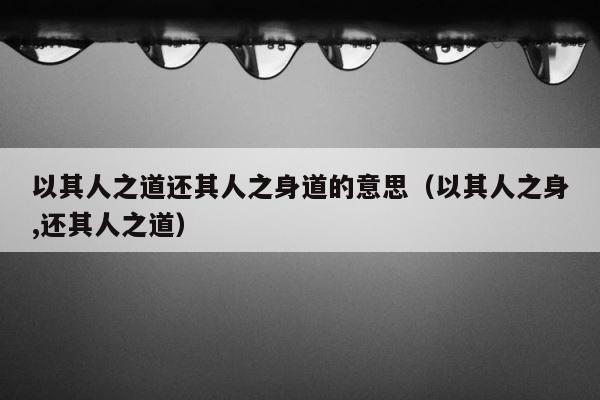以其人之道还其人之身道的意思（以其人之身,还其人之道） 第1张