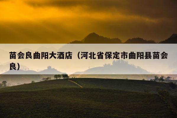 苗会良曲阳大酒店（河北省保定市曲阳县苗会良） 第1张