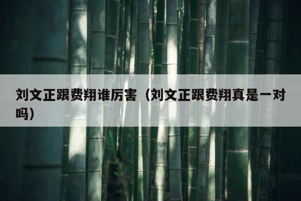 刘文正跟费翔谁厉害（刘文正跟费翔真是一对吗） 第1张