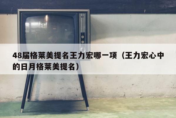 48届格莱美提名王力宏哪一项（王力宏心中的日月格莱美提名） 第1张