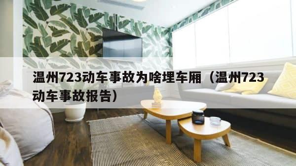 温州723动车事故为啥埋车厢（温州723动车事故报告） 第1张