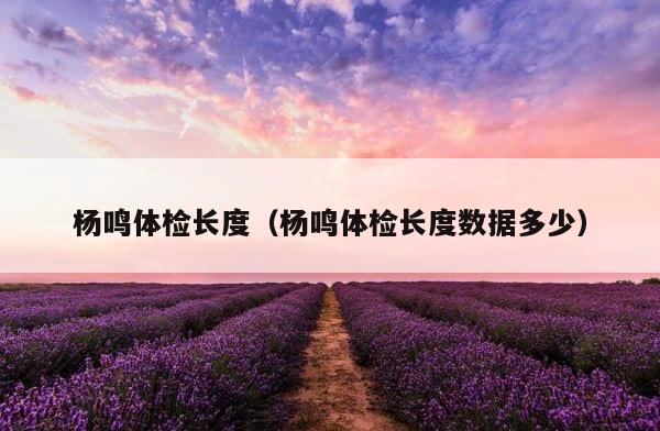 杨鸣体检长度（杨鸣体检长度数据多少） 第1张