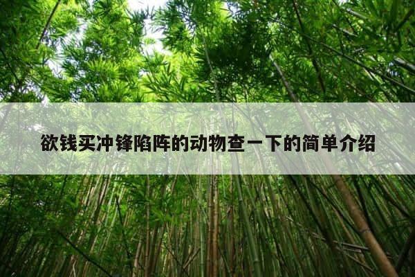 欲钱买冲锋陷阵的动物查一下的简单介绍 第1张