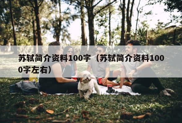 苏轼简介资料100字（苏轼简介资料1000字左右） 第1张