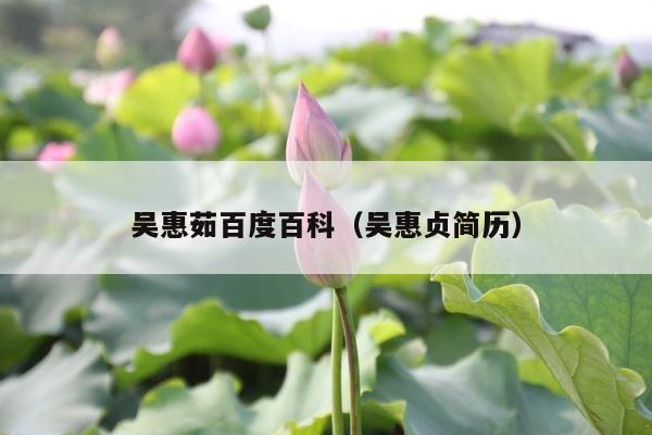吴惠茹百度百科（吴惠贞简历） 第1张