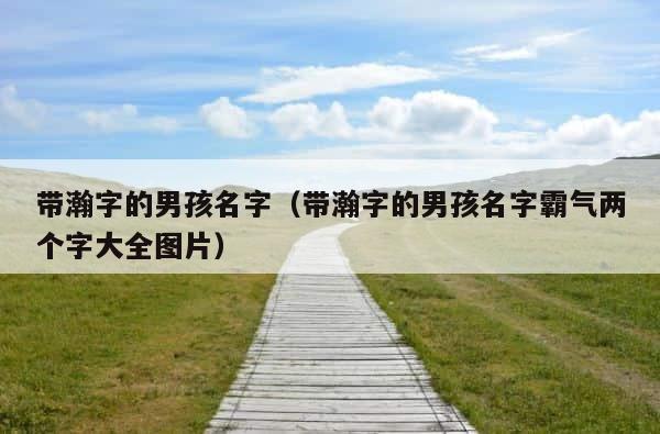 带瀚字的男孩名字（带瀚字的男孩名字霸气两个字大全图片） 第1张