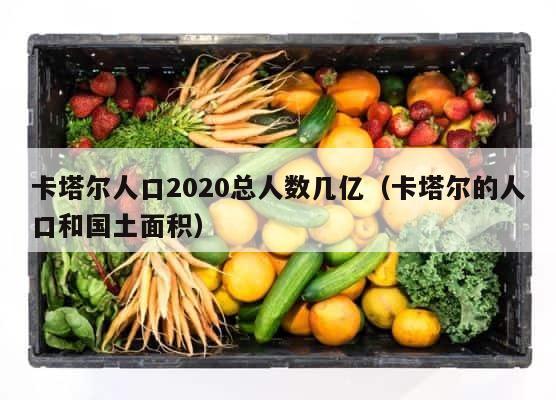 卡塔尔人口2020总人数几亿（卡塔尔的人口和国土面积） 第1张
