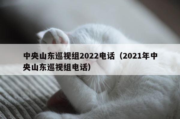 中央山东巡视组2022电话（2021年中央山东巡视组电话） 第1张