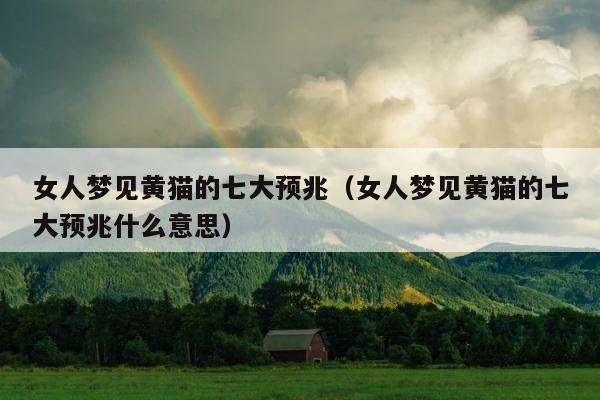 女人梦见黄猫的七大预兆（女人梦见黄猫的七大预兆什么意思） 第1张