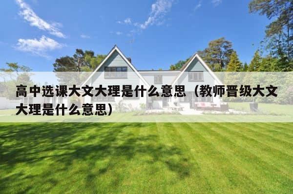 高中选课大文大理是什么意思（教师晋级大文大理是什么意思） 第1张
