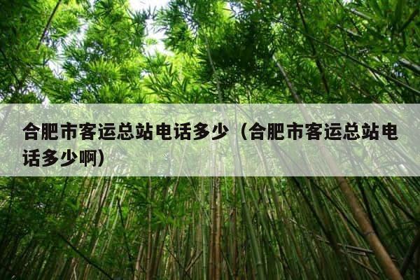 合肥市客运总站电话多少（合肥市客运总站电话多少啊） 第1张