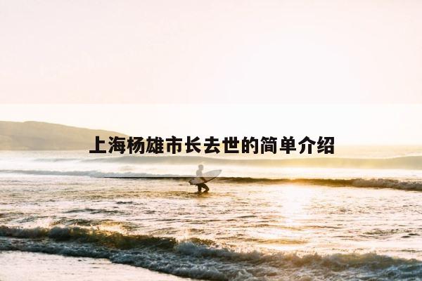 上海杨雄市长去世的简单介绍 第1张
