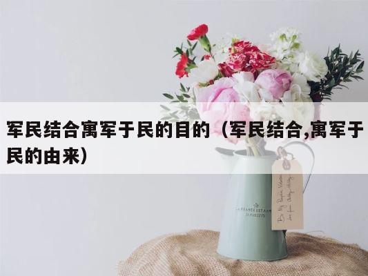 军民结合寓军于民的目的（军民结合,寓军于民的由来） 第1张