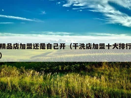 精品店加盟还是自己开（干洗店加盟十大排行） 第1张