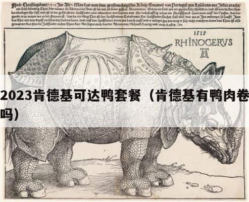 2023肯德基可达鸭套餐（肯德基有鸭肉卷吗） 第1张