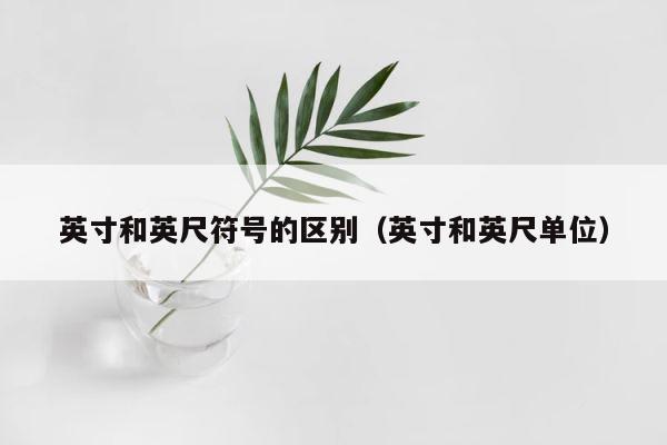 英寸和英尺符号的区别（英寸和英尺单位） 第1张