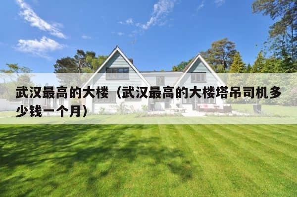武汉最高的大楼（武汉最高的大楼塔吊司机多少钱一个月） 第1张