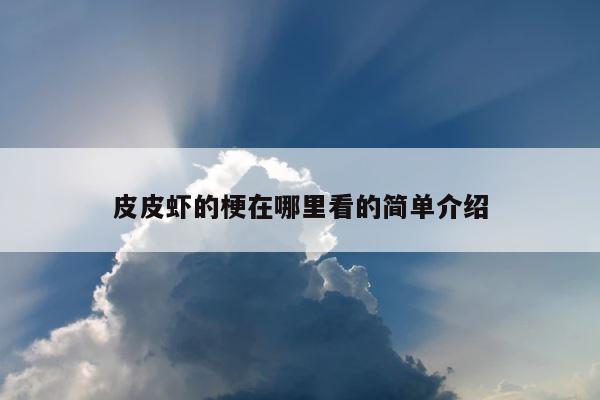 皮皮虾的梗在哪里看的简单介绍 第1张