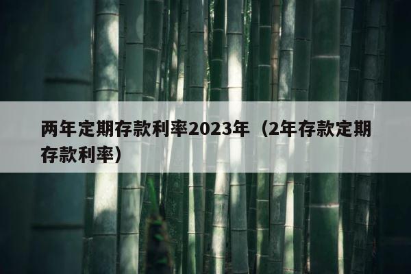 两年定期存款利率2023年（2年存款定期存款利率） 第1张