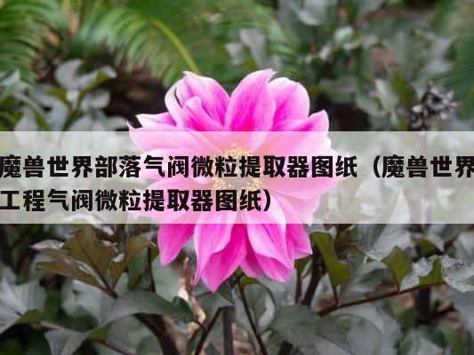 魔兽世界部落气阀微粒提取器图纸（魔兽世界工程气阀微粒提取器图纸） 第1张