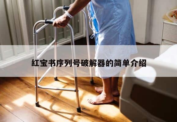 红宝书序列号破解器的简单介绍 第1张