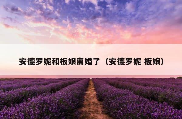 安德罗妮和板娘离婚了（安德罗妮 板娘） 第1张