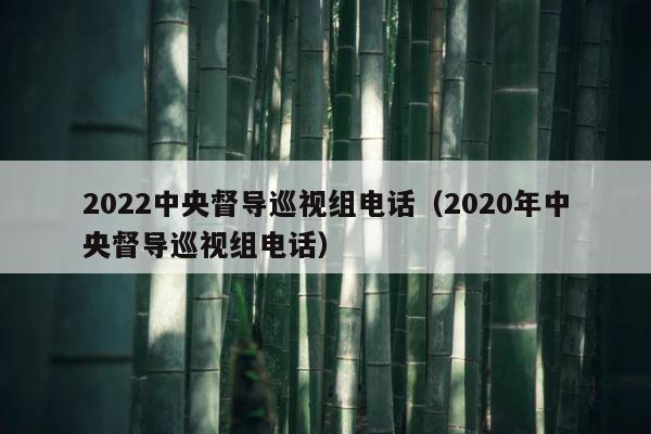 2022中央督导巡视组电话（2020年中央督导巡视组电话） 第1张