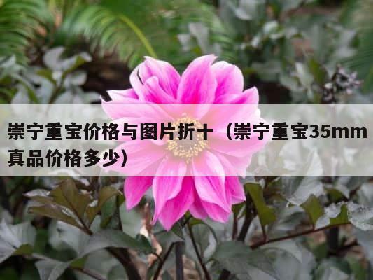 崇宁重宝价格与图片折十（崇宁重宝35mm真品价格多少） 第1张