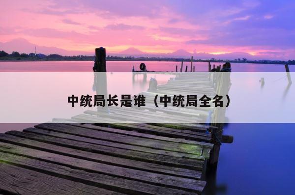 中统局长是谁（中统局全名） 第1张