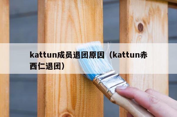 kattun成员退团原因（kattun赤西仁退团） 第1张