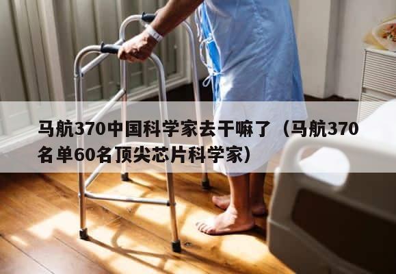马航370中国科学家去干嘛了（马航370名单60名顶尖芯片科学家） 第1张