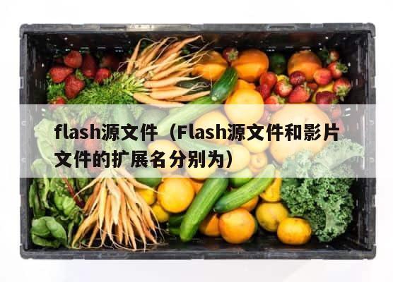 flash源文件（Flash源文件和影片文件的扩展名分别为） 第1张