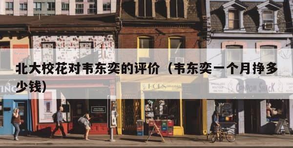 北大校花对韦东奕的评价（韦东奕一个月挣多少钱） 第1张