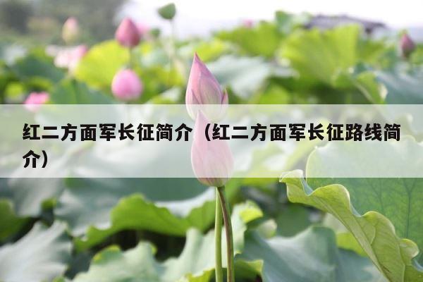 红二方面军长征简介（红二方面军长征路线简介） 第1张