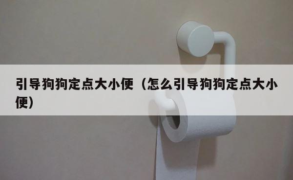 引导狗狗定点大小便（怎么引导狗狗定点大小便） 第1张