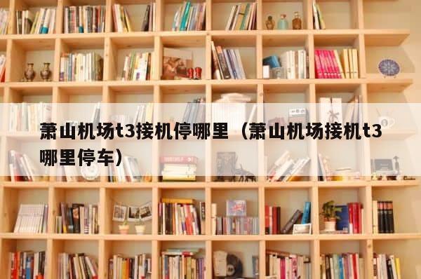 萧山机场t3接机停哪里（萧山机场接机t3哪里停车） 第1张