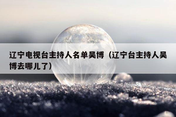 辽宁电视台主持人名单吴博（辽宁台主持人吴博去哪儿了） 第1张