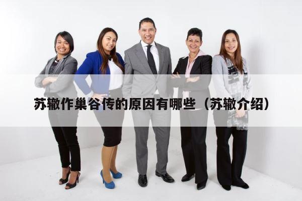 苏辙作巢谷传的原因有哪些（苏辙介绍） 第1张