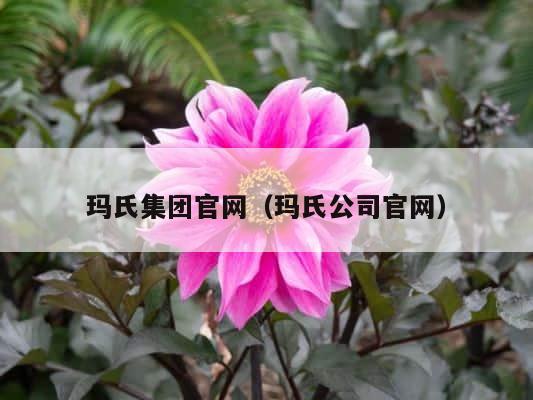 玛氏集团官网（玛氏公司官网） 第1张