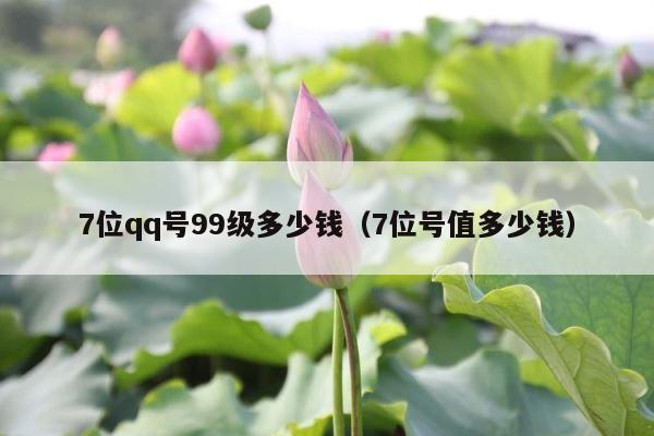 7位qq号99级多少钱（7位号值多少钱） 第1张