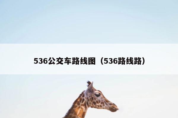 536公交车路线图（536路线路） 第1张