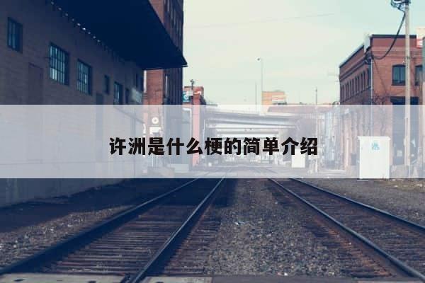 许洲是什么梗的简单介绍 第1张