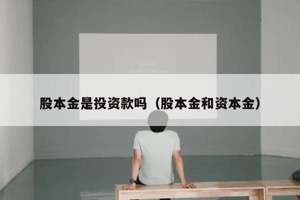 股本金是投资款吗（股本金和资本金） 第1张