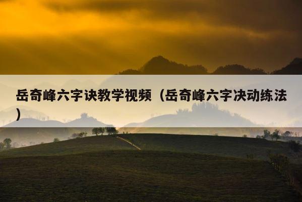 岳奇峰六字诀教学视频（岳奇峰六字决动练法） 第1张