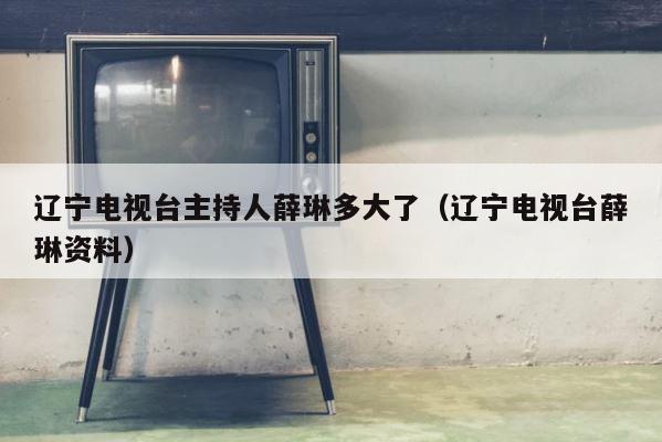 辽宁电视台主持人薛琳多大了（辽宁电视台薛琳资料） 第1张
