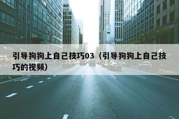 引导狗狗上自己技巧03（引导狗狗上自己技巧的视频） 第1张